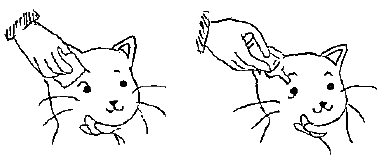 目薬のさし方