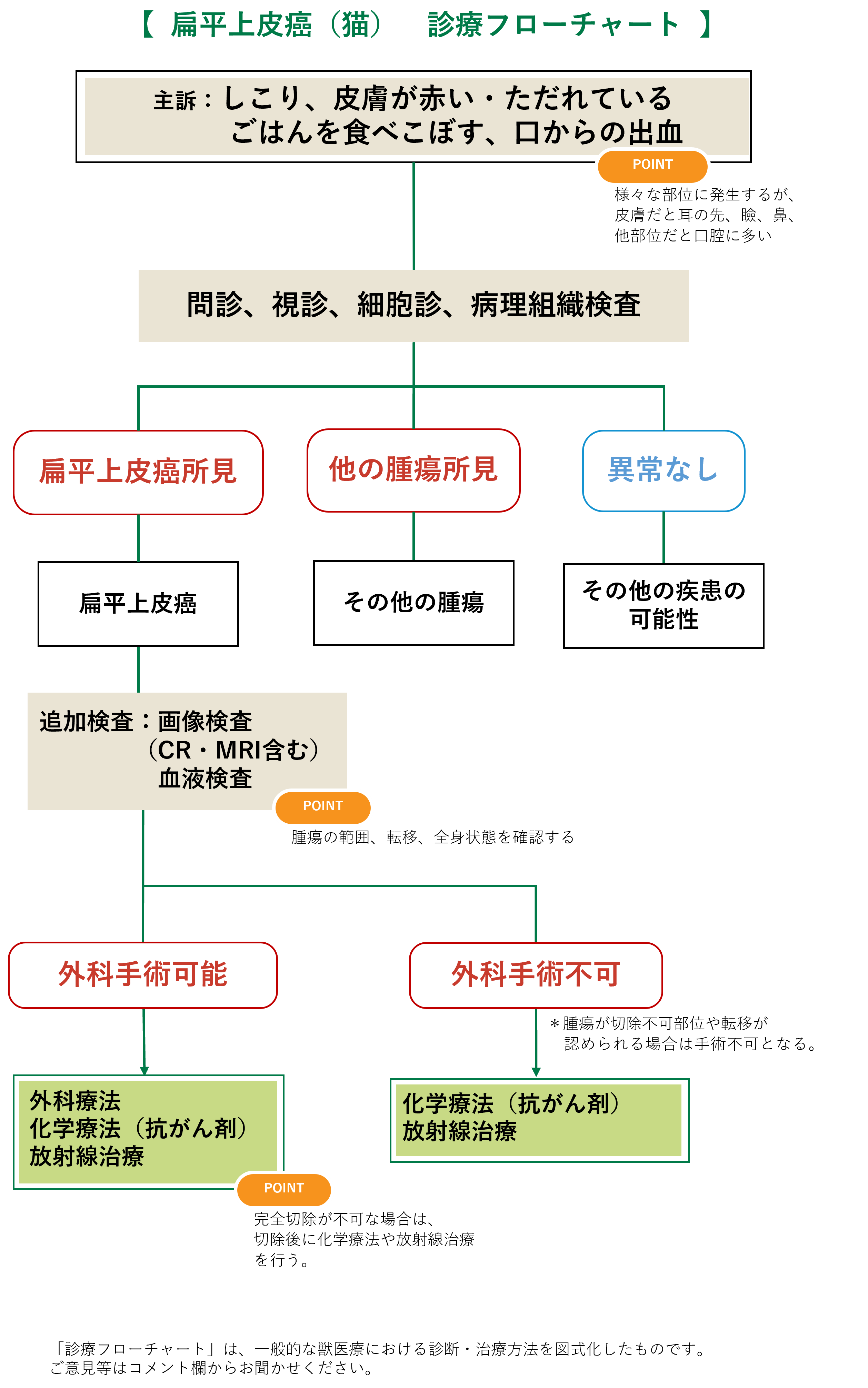 扁平上皮癌(猫) 診療フローチャート