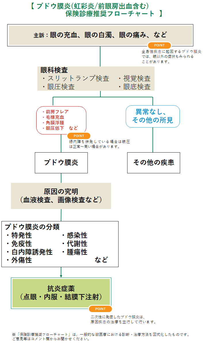 ブドウ膜炎の診療フローチャート