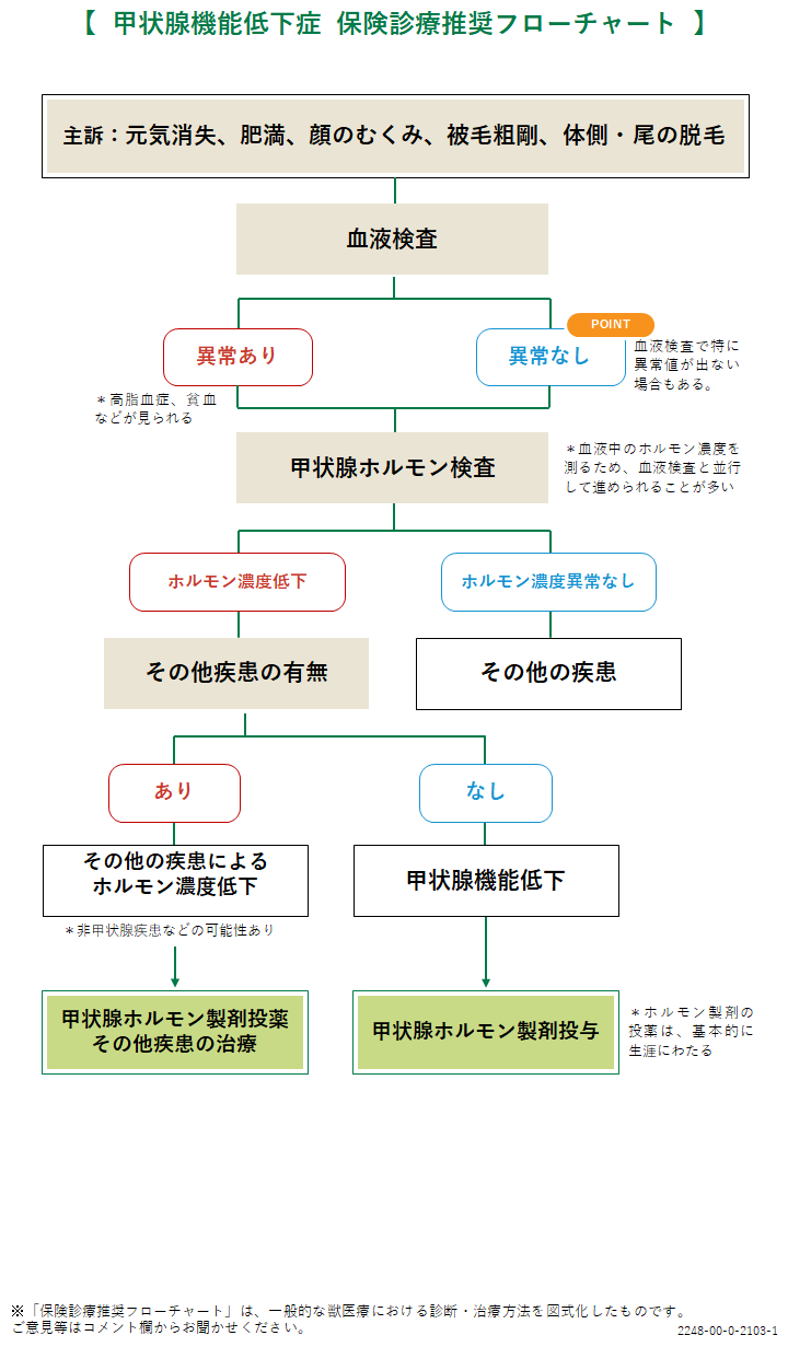 甲状腺機能低下症の診療フローチャート