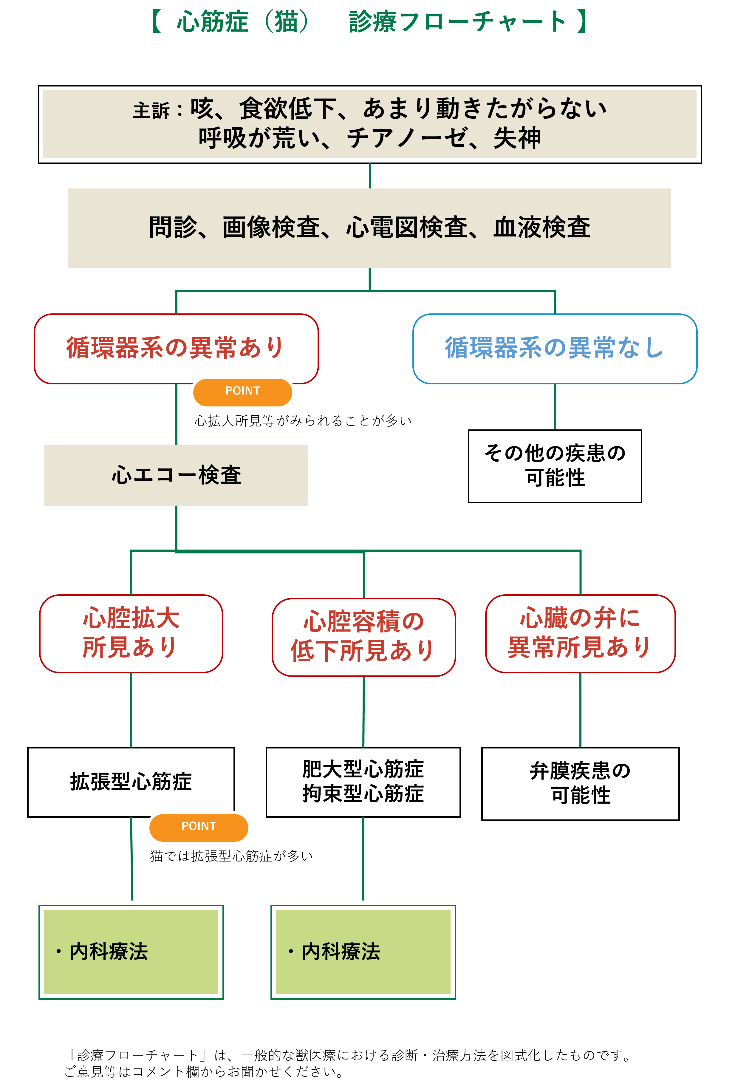 心筋症（猫）フローチャート