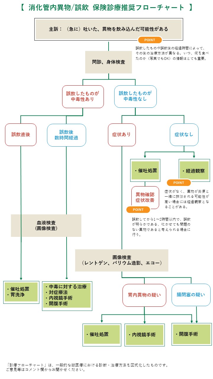 消化管異物誤飲