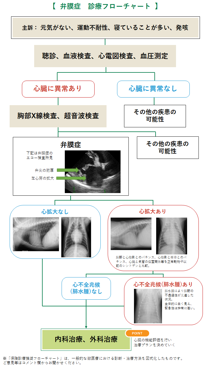 僧帽弁閉鎖不全症（ＭＲ） ＜犬＞ | みんなのどうぶつ病気大百科