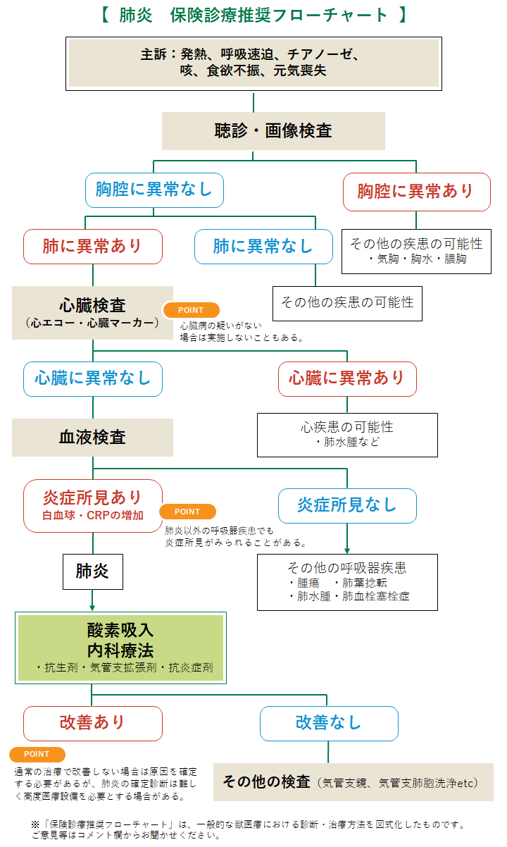 フローチャートによる小動物疾患の診断